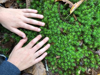 hand holding a green moss