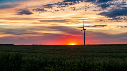 Fototapeta na wymiar wind generator in grass field at sunset