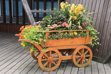 Wooden cart of plants decoration, with colored flowers