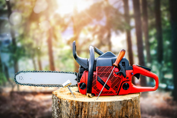 Chainsaw on wooden trunk. Woodcutter man clean chain saw after work. Hard wood working in forest.