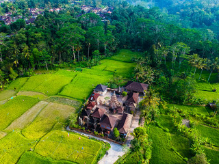 Beautiful green rice fields, jungle forest, villas and houses roofs, temple and palms top view...