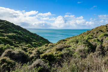Panorama view of Nugget point Balclutha, New Zealand.