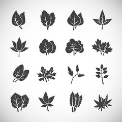 Leaf related icons set on background for graphic and web design. Creative illustration concept symbol for web or mobile app