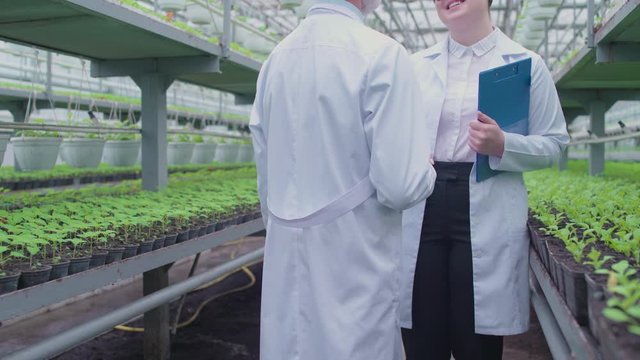 Biology specialists meeting in glasshouse, shaking hands, agricultural business