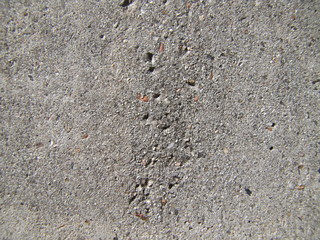 Gray rustic surface background, natural cement texture. Concrete in the sun.