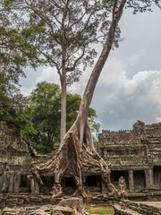 Naklejka premium detail of Cambodia's Angkor wat temples