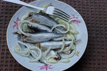 food from salted small hamsa fish with fresh chopped onions with a metal fork in a white plate is on a brown table