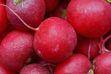 Fototapeta na wymiar natural texture of fresh red radishes in a heap