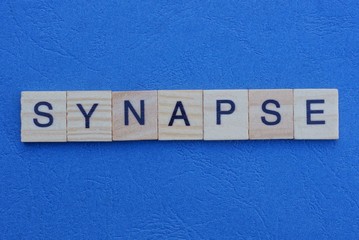Obraz premium inscription of a short word synapse from gray small letters on a blue background