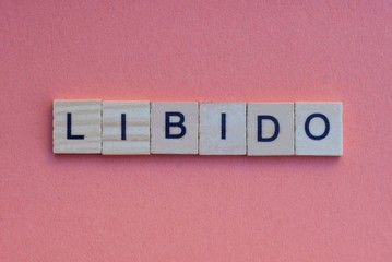 word libido from small gray wooden letters lies on a red background - obrazy, fototapety, plakaty