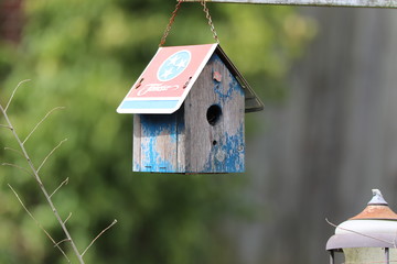 Tennessee birdhouse 3