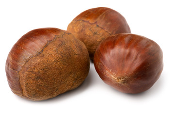 A group of three edible chestnuts on a white isolated background