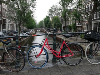 Fototapeta premium Czerwony rower