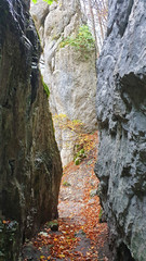 Geschlitzter Fels Hohenwittlingen
