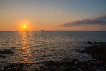 磯と朝日と鳥と沖の船影DSC6999