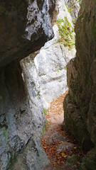 Geschlitzter Fels Hohenwittlingen