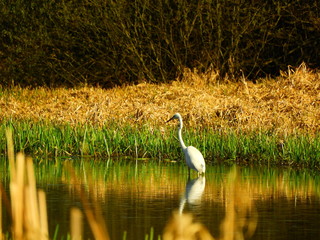 Przyroda © Krzysztof