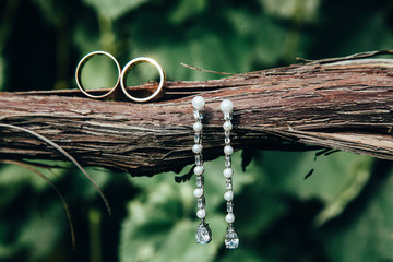 Wedding rings stand on a vine with a blurred green background.