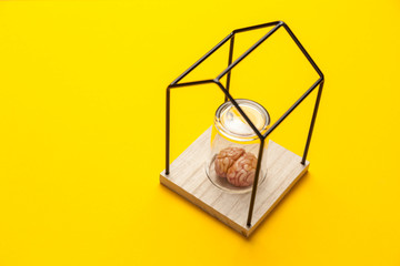 Human brain under glass flask isolated in house on yellow background. Self-closure, stress and depression. lack of communication and new information for thinking.