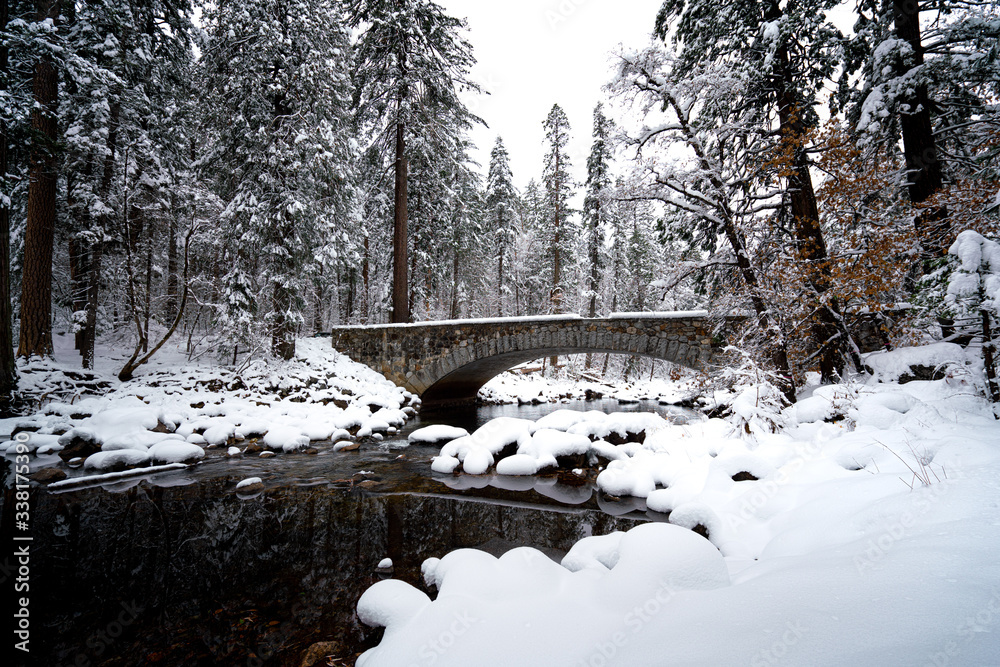 Wall mural view of bridge over river with trees in forest in winter