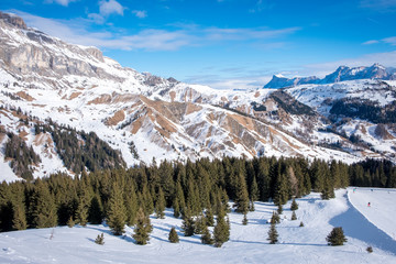 View of coniferous forest and mountains from a chair lift on a sunny winter day. Ski resort Arabba in Dolomites mountains. Passo Pordoi pass. , Italy