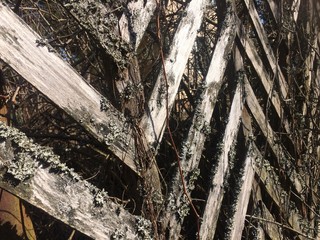 abstract, aged, backdrop, background, black, broken, building, construction, cracked, damaged,...
