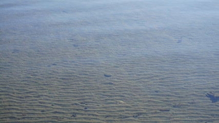 Nature near lake at Kuban River, russia