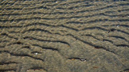 Nature near lake at Kuban River, russia