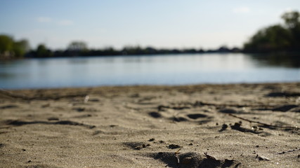 Nature near lake at Kuban River, russia