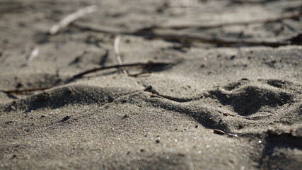 Nature near lake at Kuban River, russia