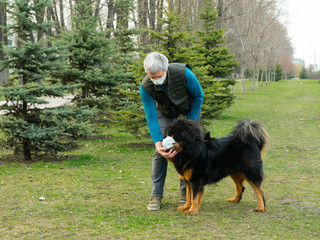 Naklejka na ściany i meble A man adjusts a medical mask on his dog during a walk. Compliance with security measures during an epidemic.
