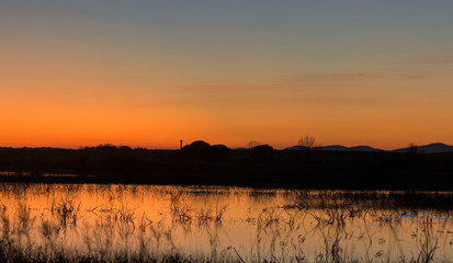 atardecer en la marisma