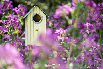 Birdhouse in spring with flower