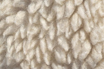 Close up white wool texture, backgrounds