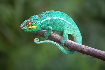 Au rendez-vous des couleurs