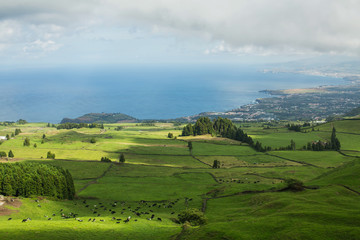 Fototapeta na wymiar Landscape atlantic coast of San Miguel island on the Azores. Portugal.