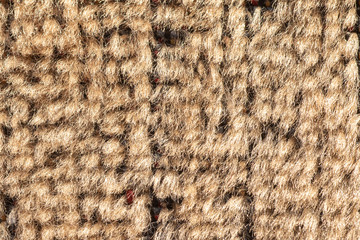 Wool texture, close up background