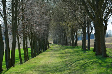 Landschaft in AUE