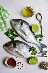 Raw dorado fish with ingredients for making. Top view with copy space.