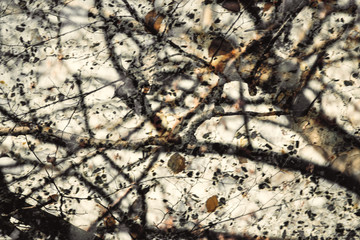 Texture of old style wood