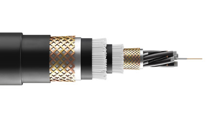 3d rendering, concept of fiber optic cable isolated on white background. Future cable technology. Detailed curved cable in cross section. Powerful communication technology. Network concept.