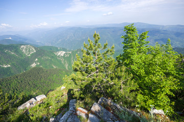 Panorama fron The Red Wall Peak at Rhodopes, Bulgaria
