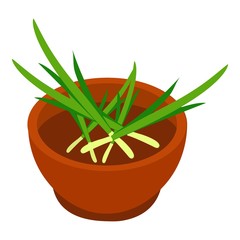 Bowl of spring onion spices icon. Isometric of bowl of spring onion spices vector icon for web design isolated on white background