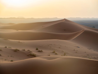 Fototapeta na wymiar Desierto del Sahara en Marruecos