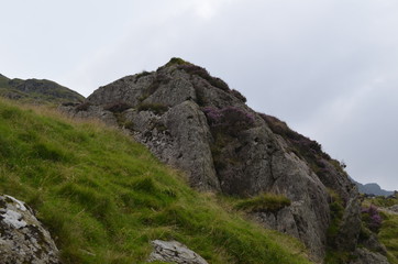 green mountain landscape