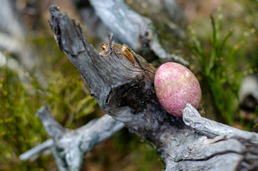 Eastereggs