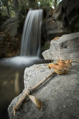 Waterfall in the Vorontsovsky Park in the Crimea. Autumn landscape. Yellow dry leaf in the foreground.