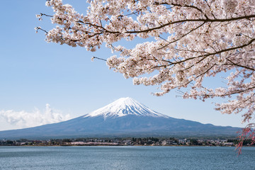 Mount Fuji in spring with cherry blossom, Japan