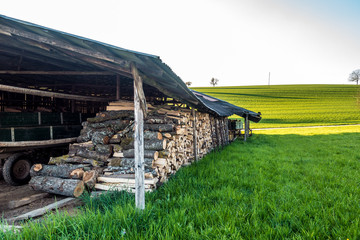 Brennholzlager in Scheune © focus finder