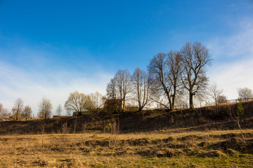 Landscape with trees on a hill on a background of blue sky in the countryside
